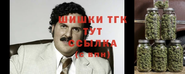 эйфоретик Балахна